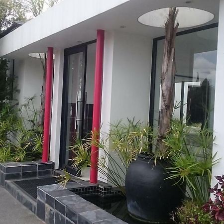 21 Kingfisher Guesthouse Johannesburg Exteriér fotografie