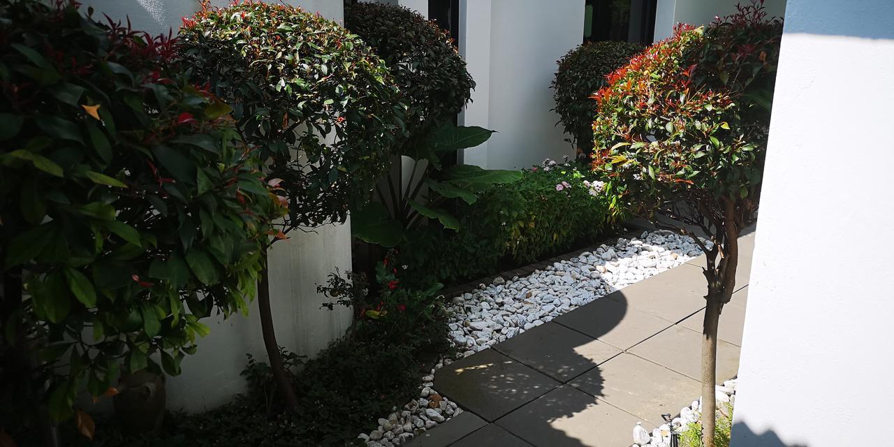 21 Kingfisher Guesthouse Johannesburg Exteriér fotografie